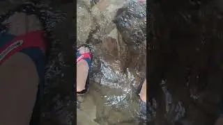 yere birsey düşürmek yasak !!!