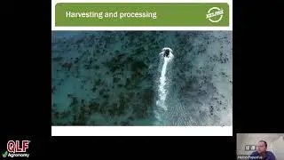 Kelpak Webinar