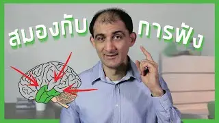 Temporal Lobe (2/6) สมองส่วนที่ควบคุมการฟัง | BrainFit Studio
