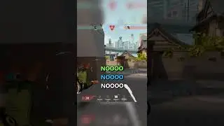 montruh moments 
