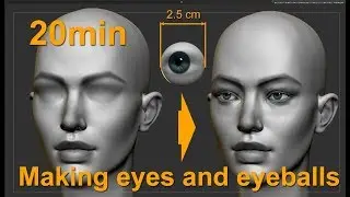 Eyes and eyeballs for dummies :).  Proportions, modelling and drawing.