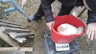 МОИМ КОБАМ 45