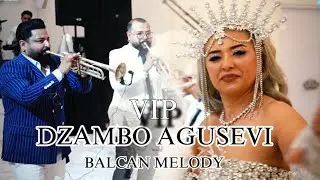 DZAMBO AGUSEVI BALCAN MELODY LIVEE / V I P BAL MIRO 2025 / 4K VIDEO SHOW VIDEO