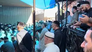 Тязет Албаковой Лиды Мух беж 6.07.23 (Чади Юнус Сесаг)