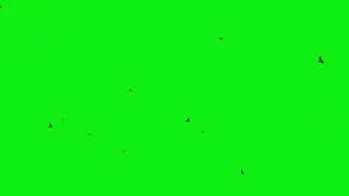 🦅 FREE Birds Flying Green Screen Effects (4K Ultra HD)