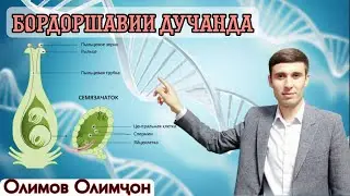 Бордоршавии дучанда. Бо Олимов Олимджон.