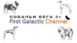 Собачьи бега. 3+