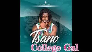 Celscius-College Gal(Artwork Video)