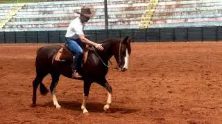 Exercícios na aula de cavalgada