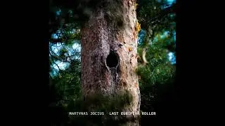 Last European Roller (2021) / Generative Ambient Music / Martynas Jocius