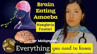 How to prevent Brain Eating Amoeba 🦠 |Naegleriasis/Primary Amebic Meningoencephalitis| #healthcare