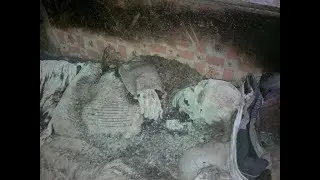 ЧТО МОЖНО НАЙТИ В СТАРОМ ДОМЕ
