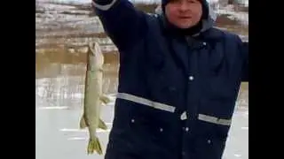 Lydekų žvejyba Zujūnuose