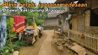Bikin Betah! Suasana Pedesaan Dibawah Kaki Gunung Argopuro🌿