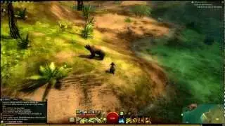 Guild Wars 2: How to farm Potent/Powerful Blood and Money| Update and My Future with GW2
