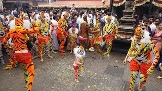 Pili🐯 #pili  #pilinalike #tigerdance #pilivesha #tulunadu #udupi #shorts #pilivesha #cute