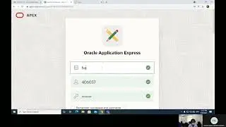Oracle APEX Administration/Login Info/Page customizing (link, item row..)/Dynamic LOV concatenation