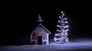 Shining Tree SNOWFALL #whitenoise #snowstorm #ambiance