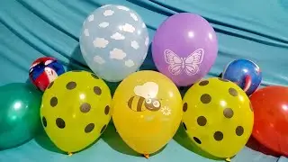 FUN BEE SUMMER BIRTHDAY BALLOONS POP!!!