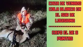 CAZA DE VENADO COLA BLANCA :CAYO EL MACHITO: