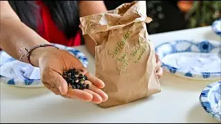 How do Online Seed Swaps work? Preparing my own seeds