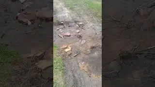 Чисто водичка #water #life #watersounds
