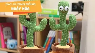 Đồ chơi cây xương rồng nhảy múa | NGOstore.net