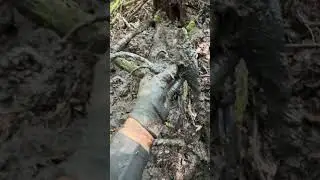 НЕМЕЦКИЙ ПРУД ВЫСОХ! НАХОДКИ СО ДНА! METAL DETECTING