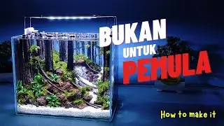membuat aquascape hutan air terjun ukuran 30