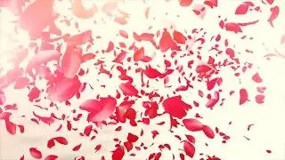 Cherry Blossom Animation