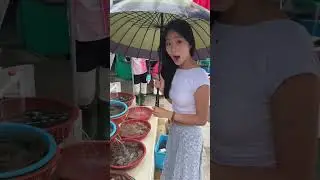 BUSAN VLOG 