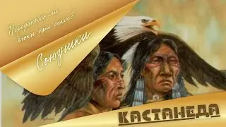 Передаются ли блоки при сексе / Cоюзники. Кастанеда