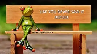 700 MILLIONS DE VUES POUR MES VIDÉOS