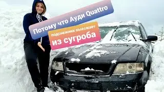 Она это сделала! Ауди А6 Quattro выезжает из сугроба на летней резине! 