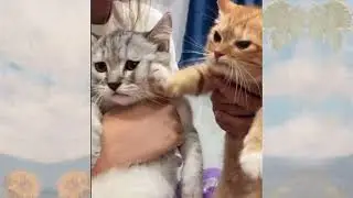 Құм мен тас