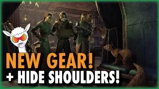 NEW Monster Sets Looking STRONG | Everything We Know Coming to Update 37