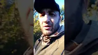 Отправить