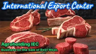 Beef meat export sales business. Agribusiness. Animal husbandry. Agroholding IEC.