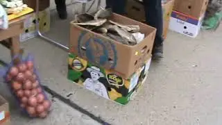 Ярмарка голубей г.Славянск-на-Кубани 18.02.2024г. 1часть