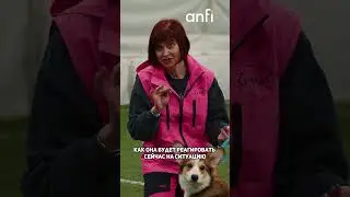 УЧИМ СОБАКУ КОМАНДЕ 