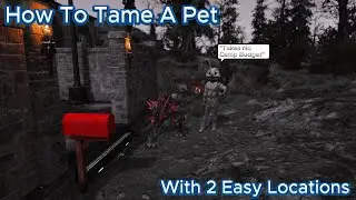 Fallout 76 (How To Tame And Keep A Pet)