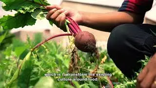 Trailer Hamilton Henrique: A Story of Food Revolution | DIF