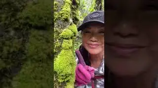 Guam Hiking Mepo Talofofo