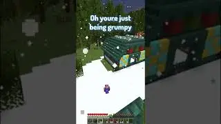PoV: it's christmas on the Minecraft SMP