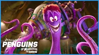 Dave is an.. Octopus? 🐙 | DreamWorks Madagascar