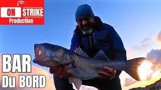 PÊCHE du BAR du BORD:  A la recherche du LUNKER