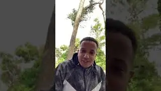 LIGHT FULL instagram LIVE