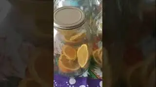 Слезы из Березы. Заготовка Березового сока 