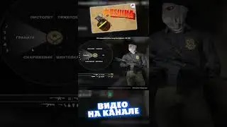 Когда у врага муха (Флэшка!!! (CS:GO)) 