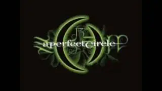 The Outsider (Apocalypse reMix)- A Perfect Circle